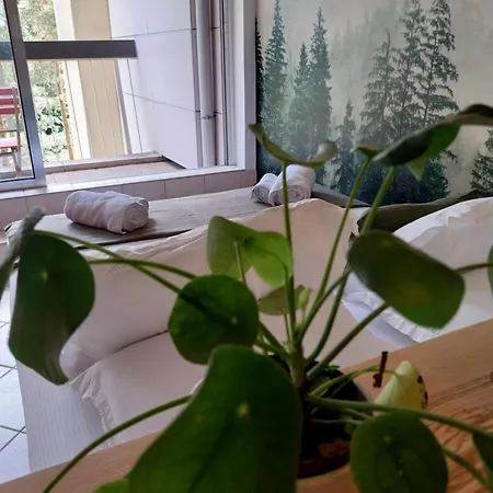 Apartment De Charme 4 Personnes 3 Epis Montagne Calme Turckheim